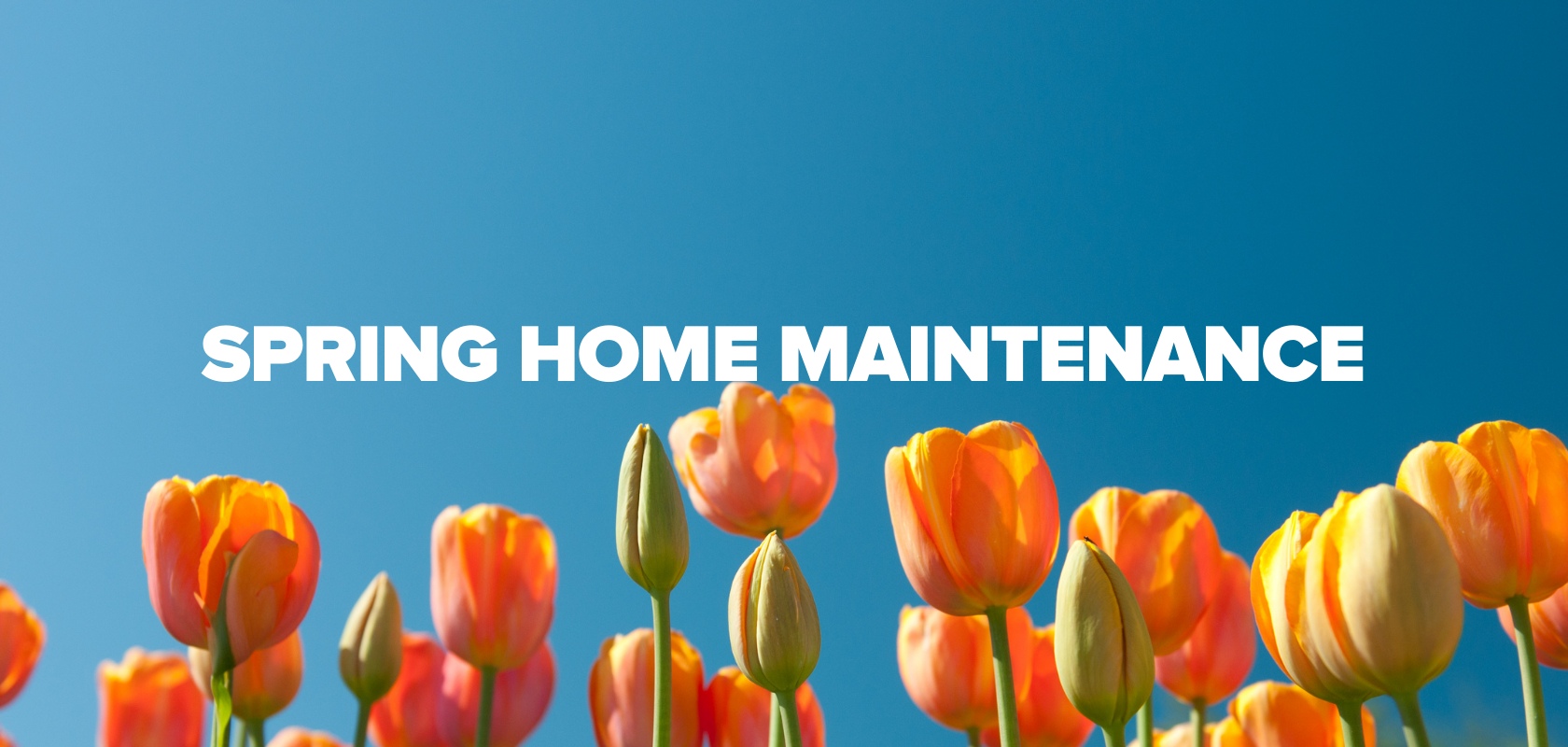 spring home maintenance