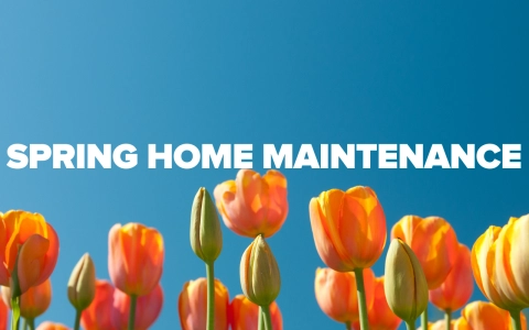 spring home maintenance